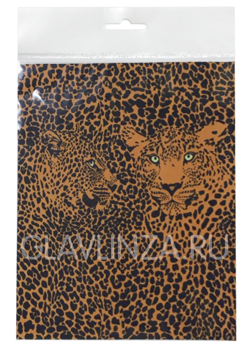 �������� ������� 15�18