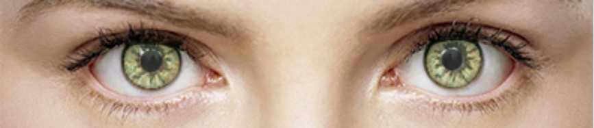 цветные линзы ColorNova Golden Eye (2 линзы)
