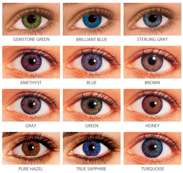 ������� ����� FreshLook Colors Blends (1 �����)